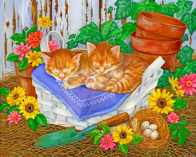 Cute Kitties Paint By Number.png