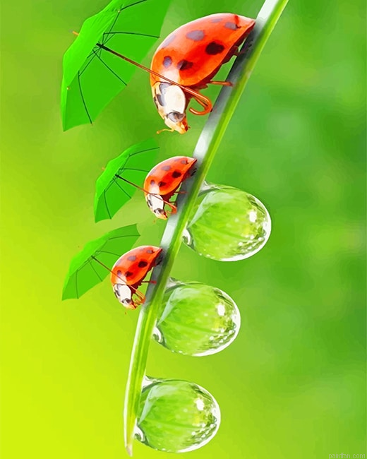 Cute Ladybugs New Paint By Numbers.png