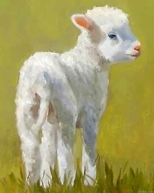 Cute Lamb New Paint By Numbers.png