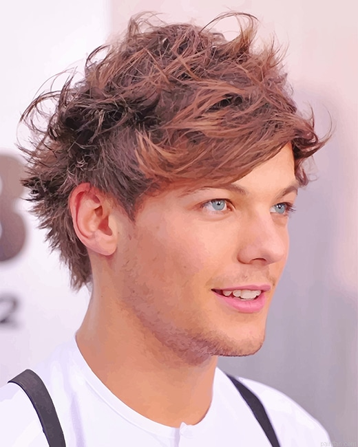 Cute Louis Tomlinson New Paint By Numbers.png