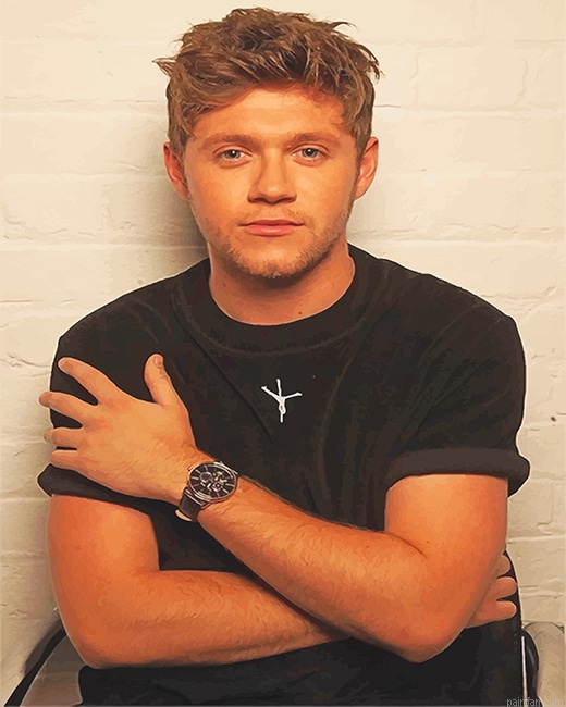Cute Niall Horan New Paint By Numbers.png