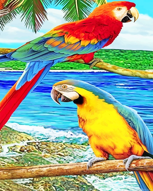 Cute Parrots New Paint By Numbers.png