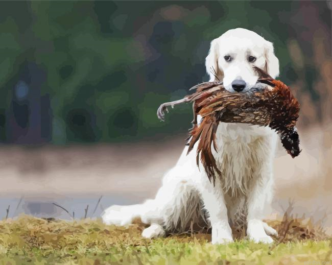 Cute Pheasant Hunting Dog Paint By Numbers.png