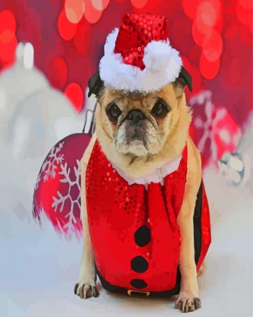 Cute Pug At Christmas Paint By Numbers.png