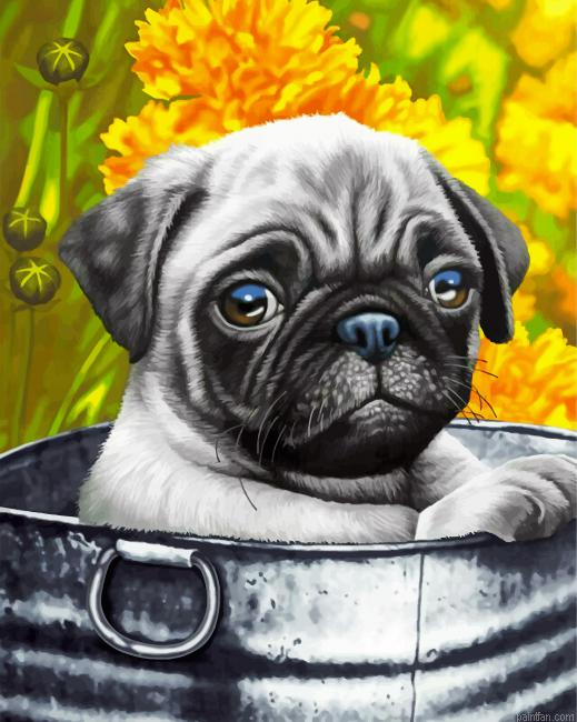 Cute Pug Paint By Number.png