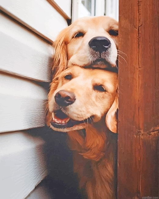 Cute Puppies New Paint By Numbers.png