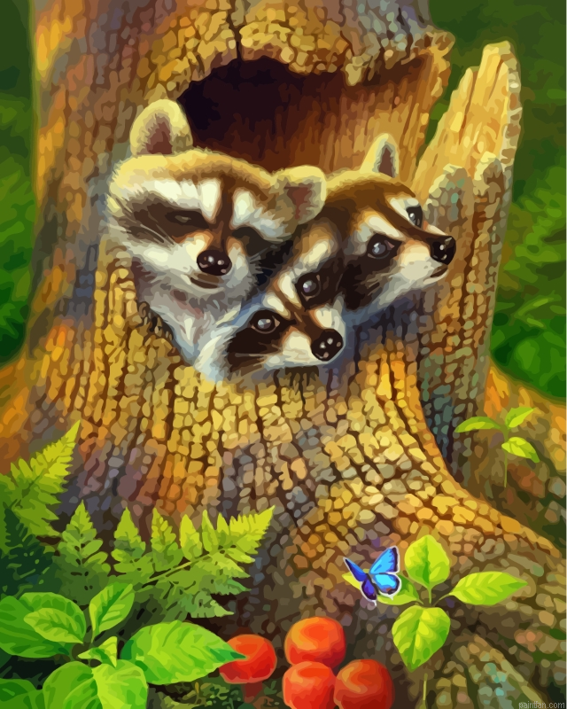 Cute Raccoons Paint By Number.png