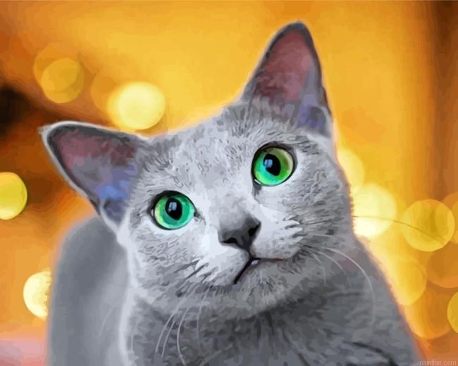 Cute Russian Blue Cat Paint By Number.png