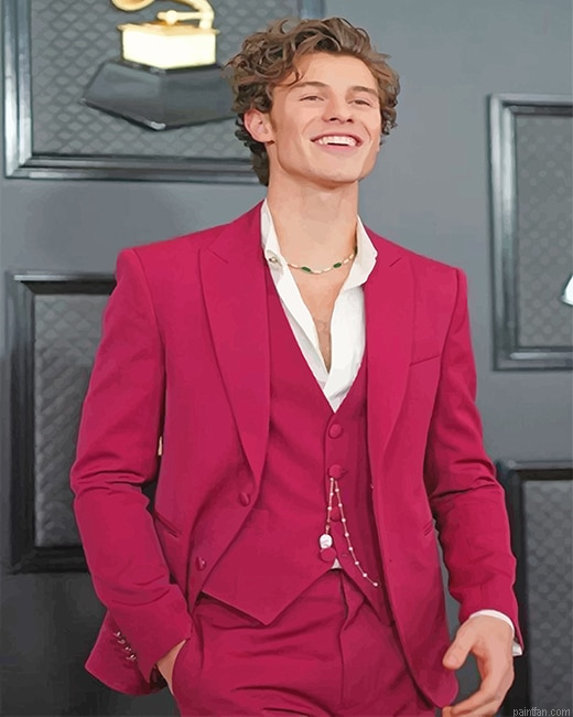 Cute Shawn Mendes New Paint By Numbers.png