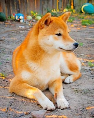 Cute Shiba Inu Paint By Number.png