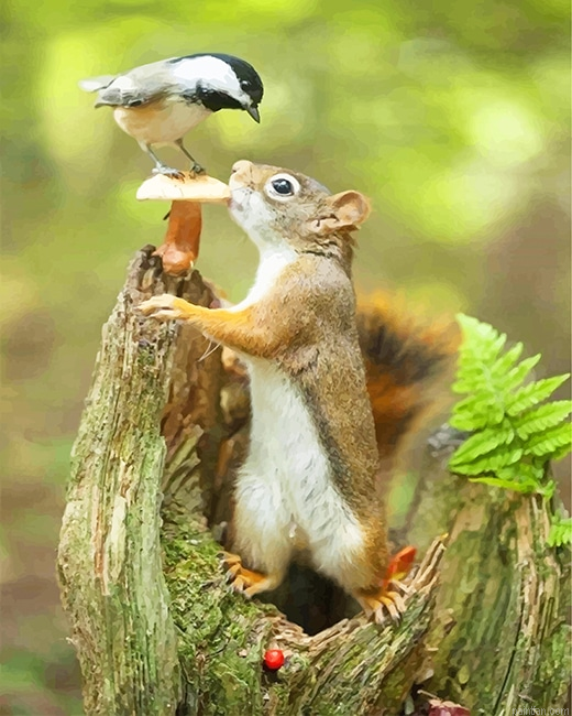 Cute Squirrel And Bird New Paint By Numbers.png
