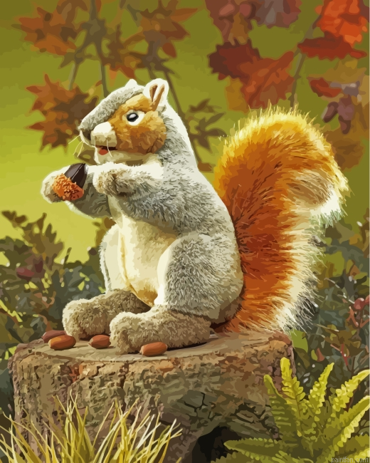 Cute Squirrel Paint By Number.png
