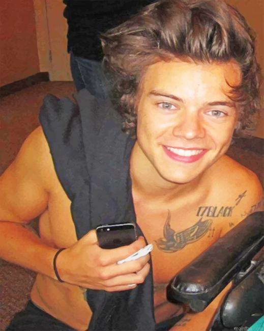 Cute Tattooed Harry Styles New Paint By Numbers.png