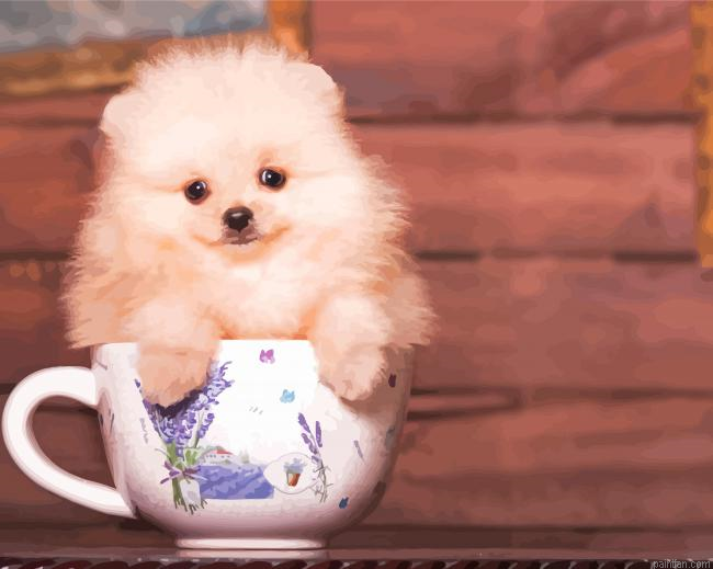 Cute Teacup Dog Paint By Numbers.png