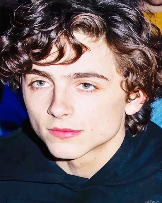 Cute Timothee Chalamet New Paint By Numbers.png