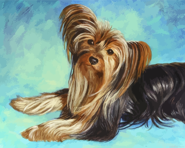 Cute Yorkshire Terrier Dog Paint By Number.png