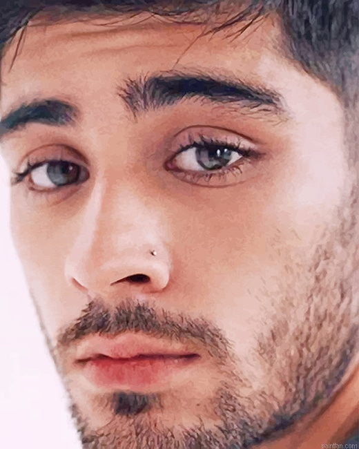 Cute Zayn Malik New Paint By Numbers.png
