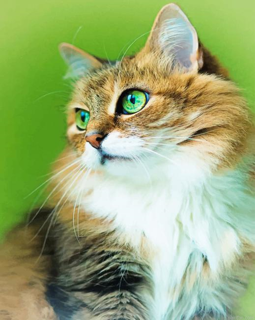Cute Kitty New Paint By Numbers.png
