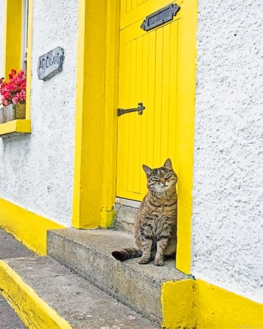 Cute Kitty Yellow Door New Paint By Numbers.png