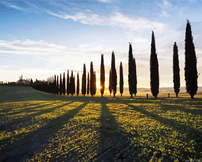 Cypress Trees At Sunset Paint By Numbers.png