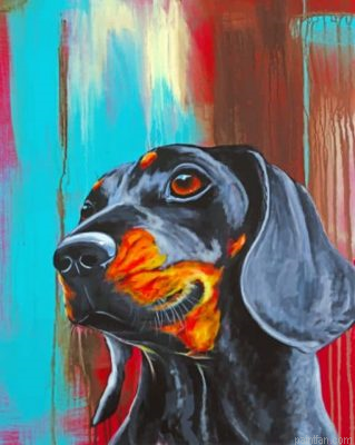 Dachshund Dog Paint By Number.png
