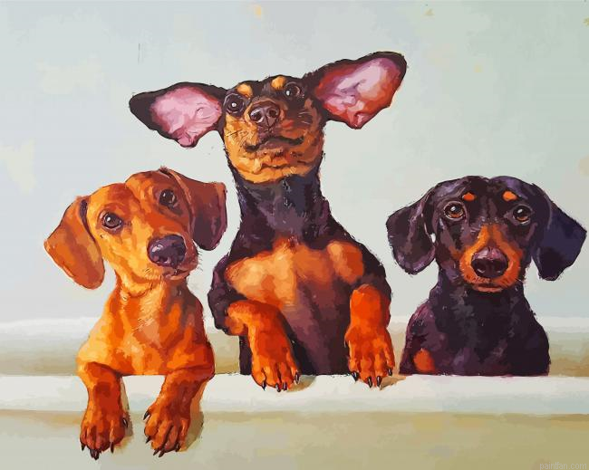 Dachshunds Dogs Paint By Number.png