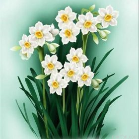 Daffodil Flowers Paint By Numbers.png