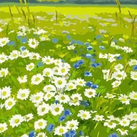 Daisies Field Paint By Numbers.png