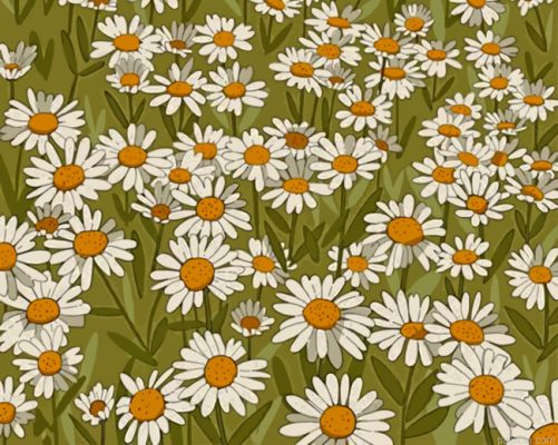 Daisy Field Illustration Paint By Number.png