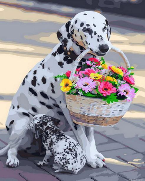 Dalmatian Dog With Flowers Basket Paint By Number.png