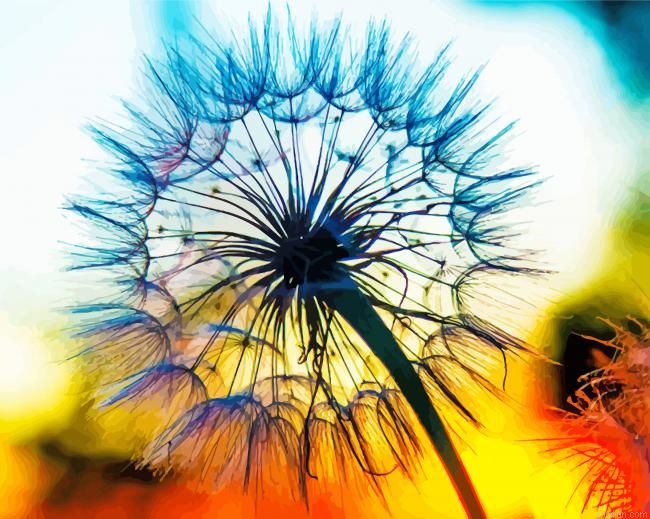 Dandelion Plant Sunset Paint By Numbers.png