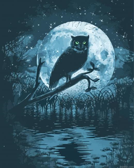 Dar Owl Moon Paint By Numbers.png