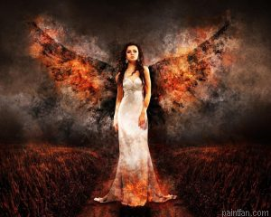 Dark Angel Paint By Numbers.png