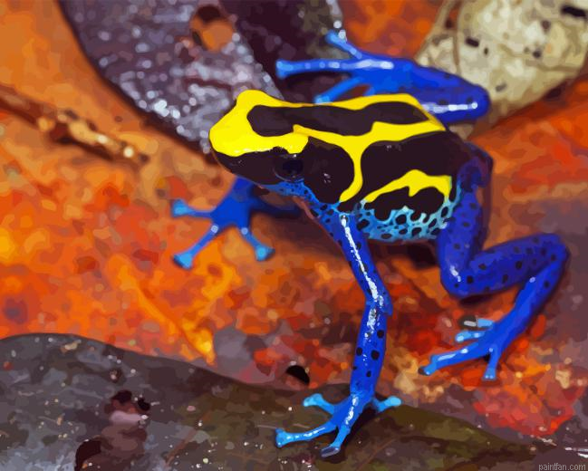 Dart Frogs Paint By Numbers.png
