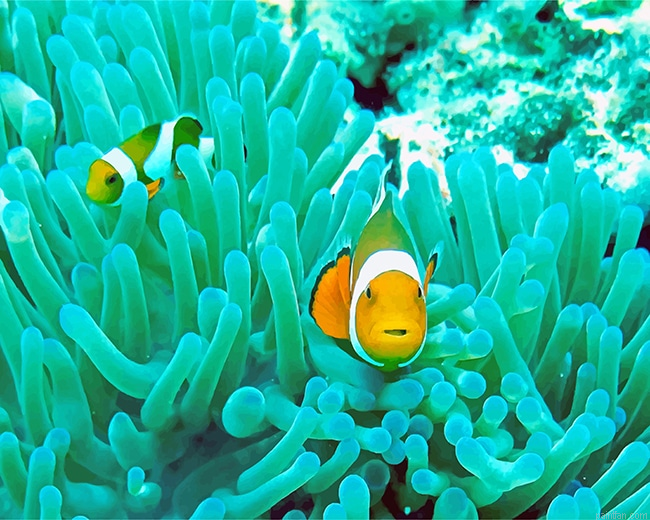 Deep Sea Yellow Fish Paint By Number.png