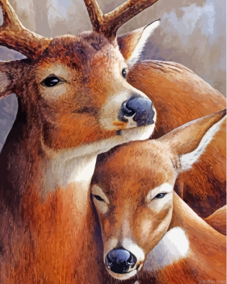 Deer Couple Hugging Paint By Numbers.png