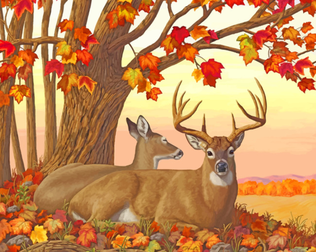 Deer In Autumn Paint By Numbers.png