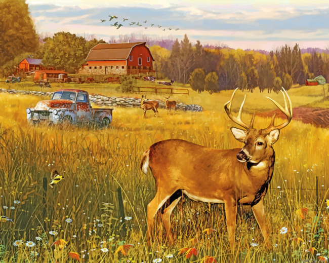 Deer In Farm Field Paint By Numbers.png