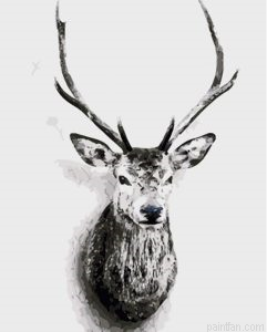Deer Portrait Paint By Numbers.png