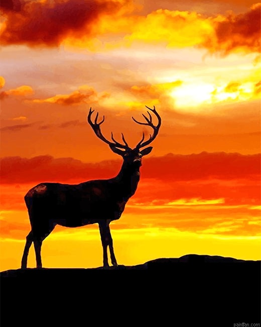 Deer Sunset Silhouette New Paint By Numbers.png
