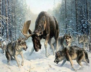 Deer Vs Wolves Paint By Numbers.png