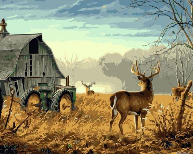 Deer On Farm Animals Paint By Number.png
