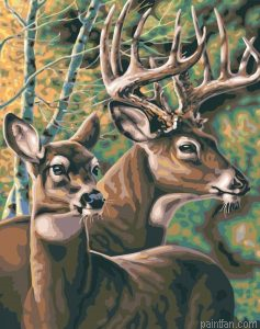 Deers Animals Paint By Numbers.png
