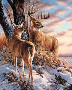 Deers Paint By Numbers.png