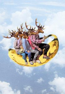 Deers On Banana Paint By Numbers.png