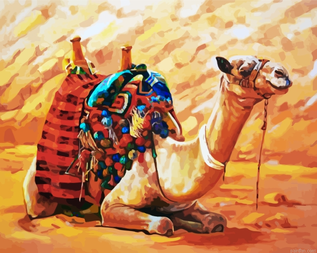 Desert Camel Paint By Number.png