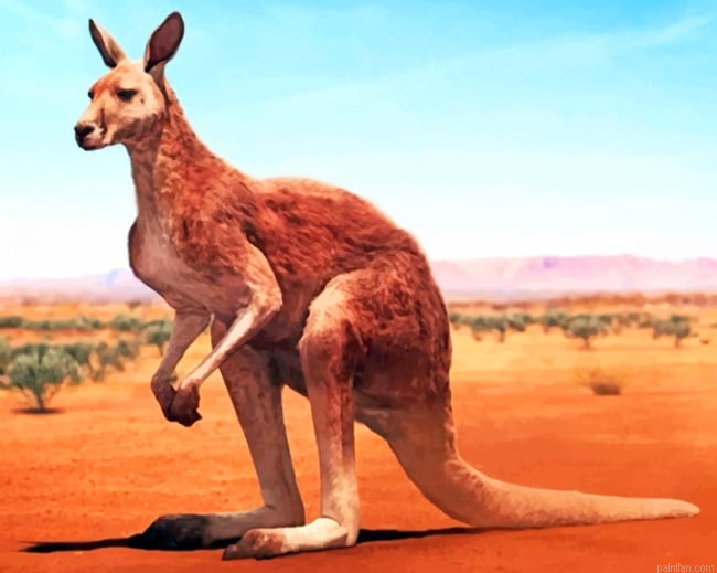 Desert Kangaroo Paint By Number.png