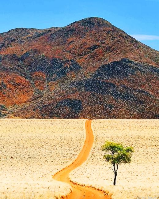 Desert Of Namibia New Paint By Numbers.png
