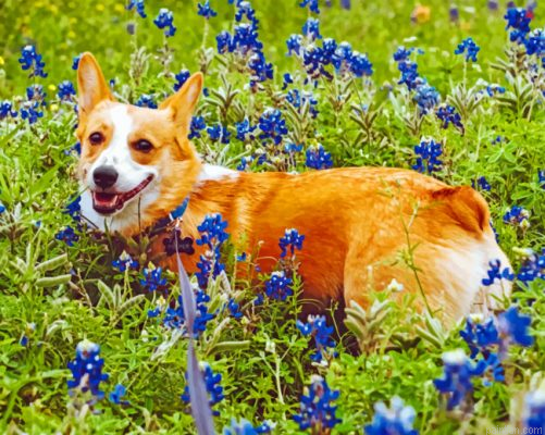 Dog And Bluebonnet Paint By Number.png