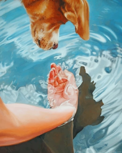 Dog Drinking Water New Paint By Numbers.png